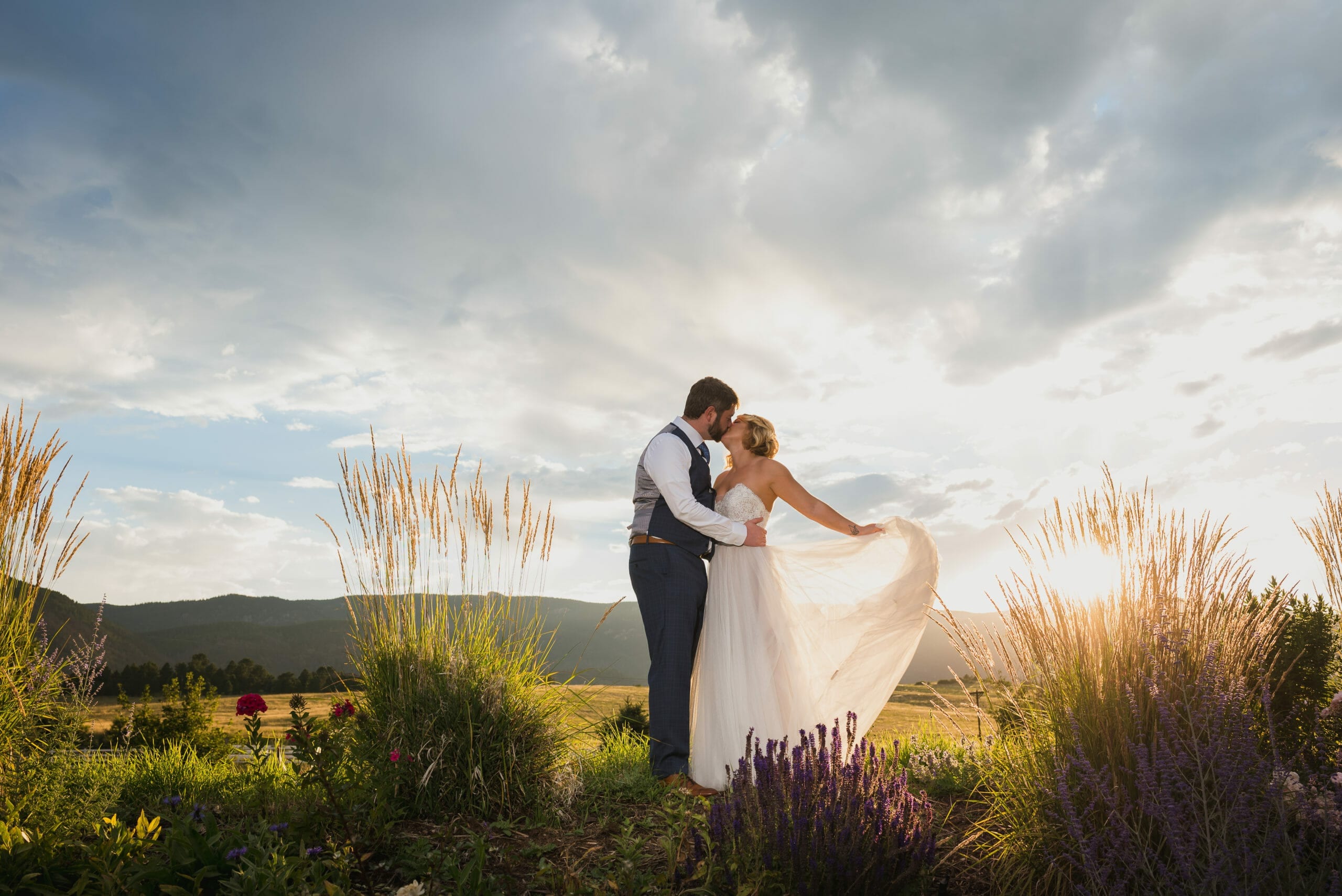 Crooked Willow Farms