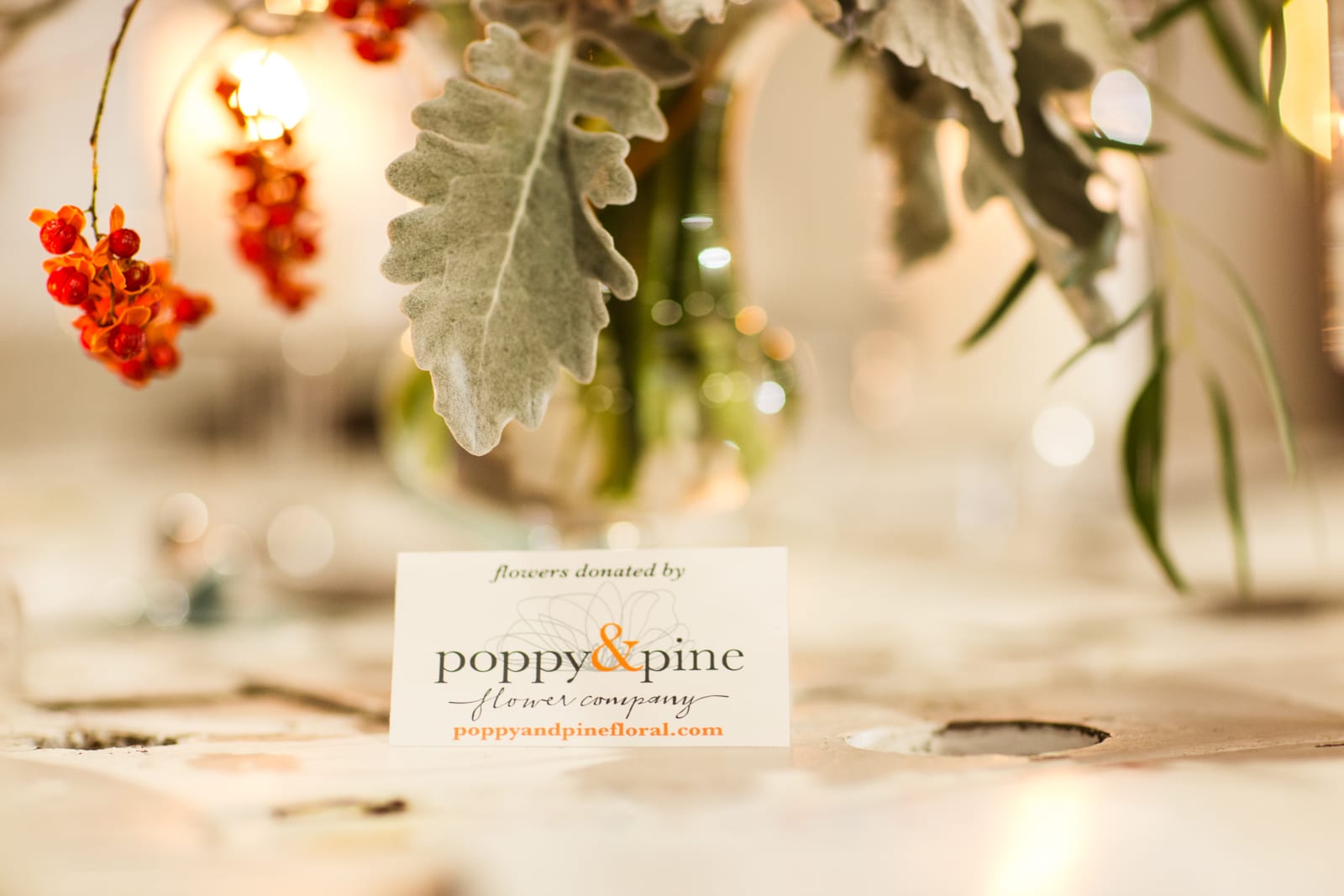 Poppy & Pine | Product Photography | Denver, CO | From The Hip Photo