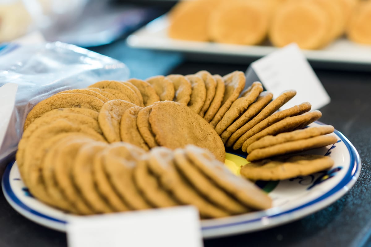 WCOTR Increases Civic Health | Commercial Photography | Denver | From The Hip Photo