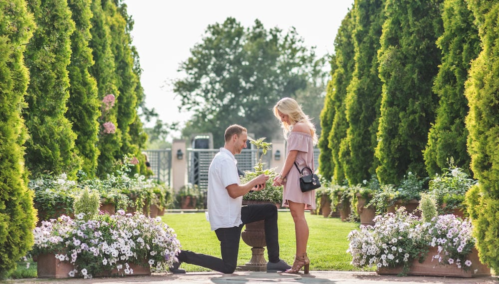 Man gets down on one knee and proposes at Botanic Gardens