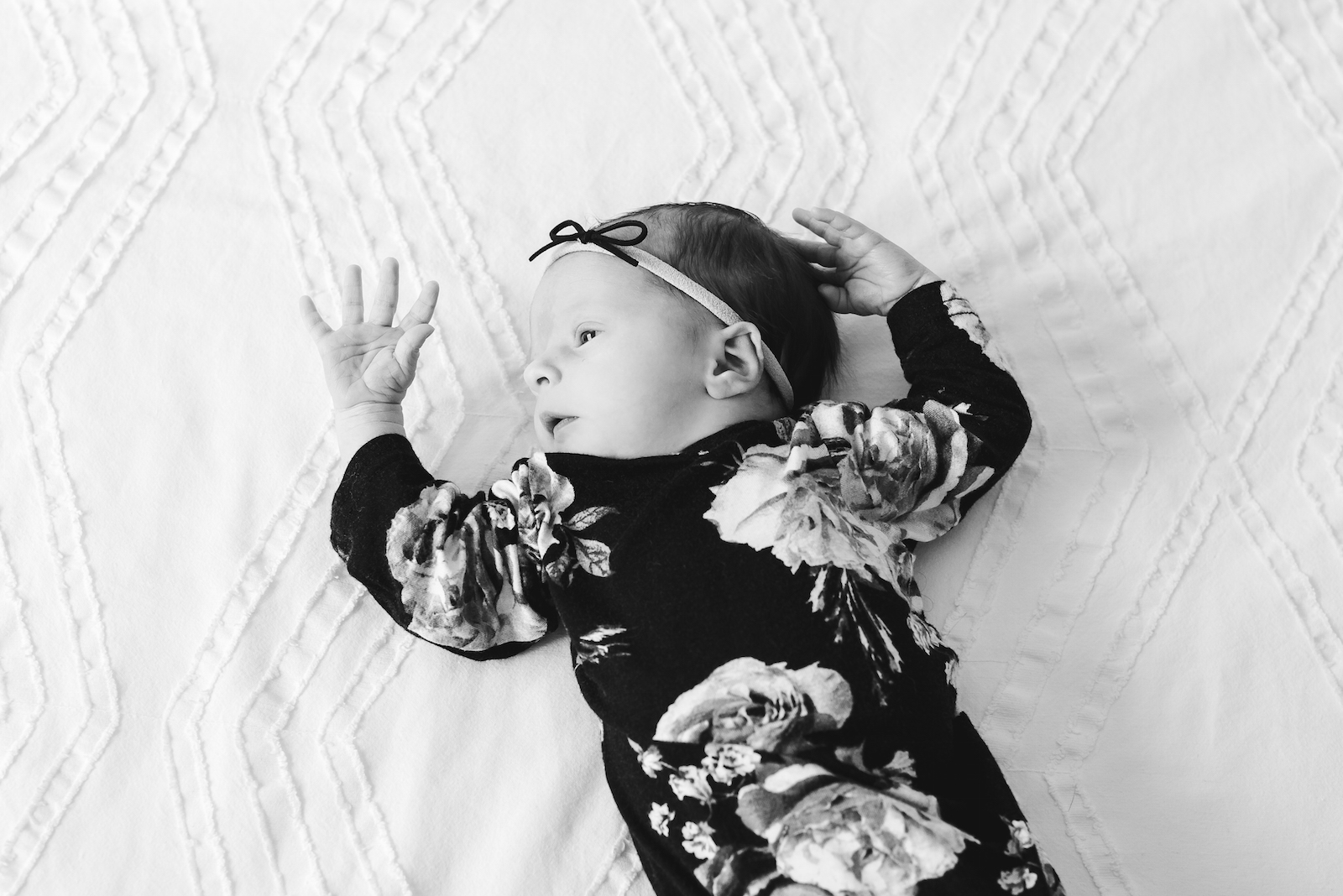 baby-bliss-katy-dan-newborn-photos-focus-the-from-the-hip-photo-blog