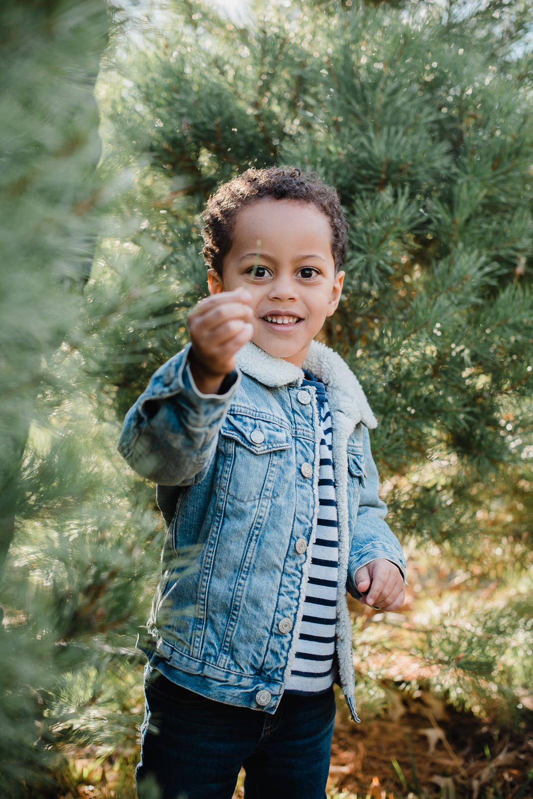 Holiday Fun | Family Photo | Creekside Tree Nursery | From the Hip Photo