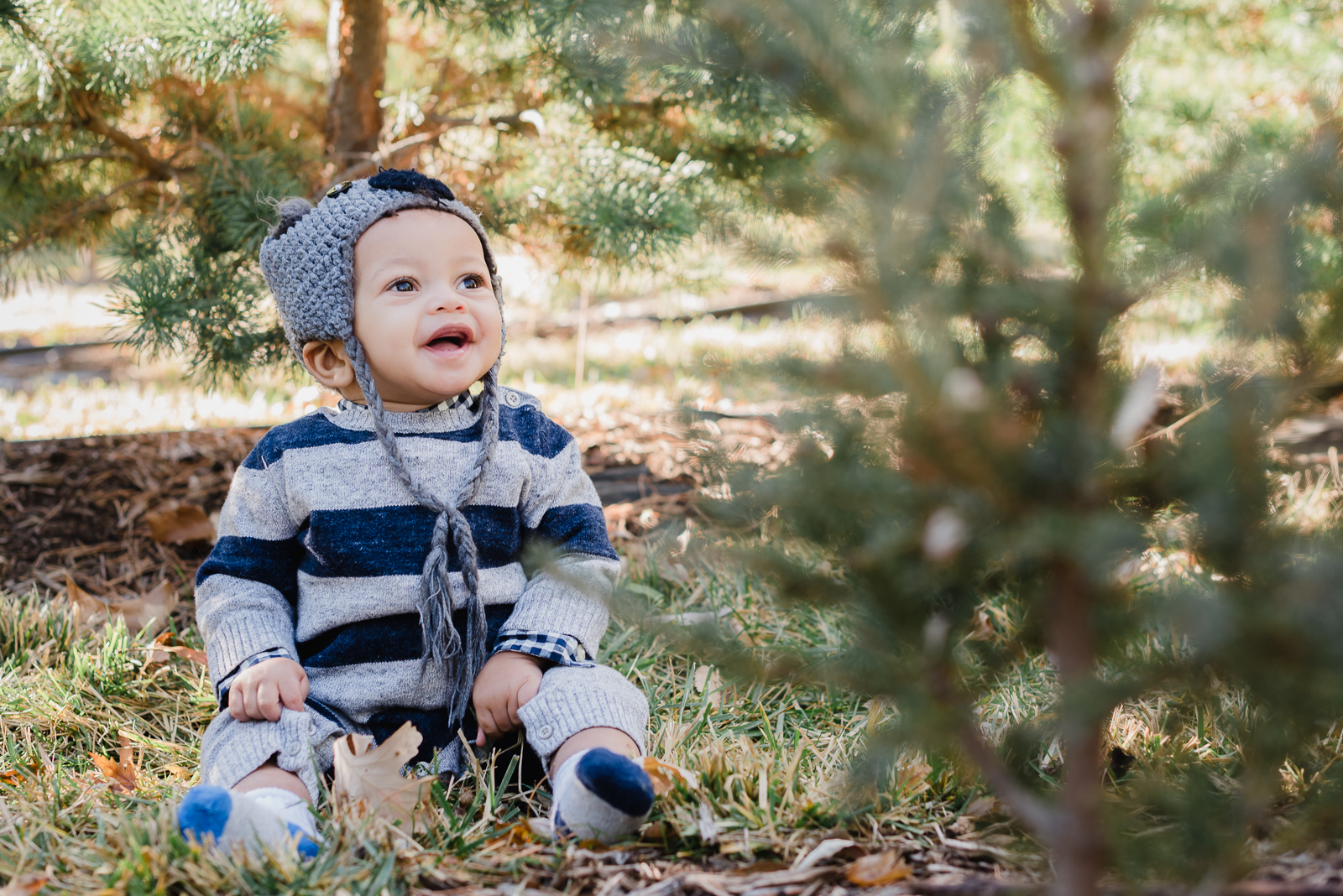 Holiday Fun | Family Photo | Creekside Tree Nursery | From the Hip Photo