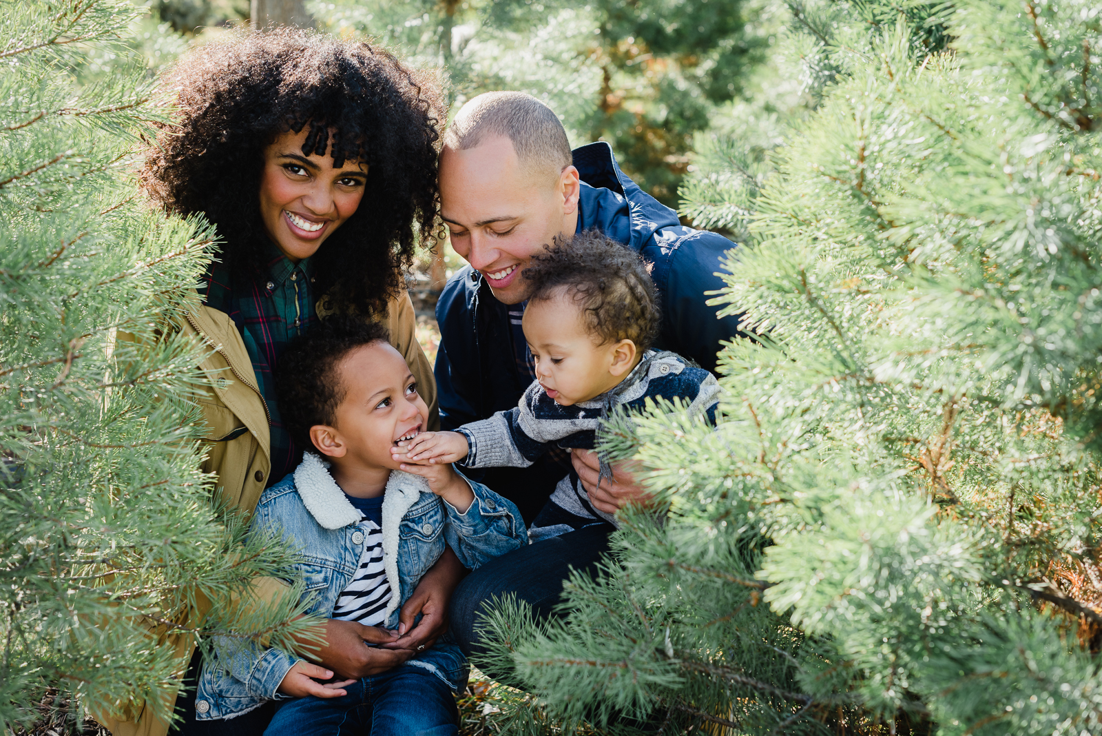 Holiday Fun | Family Photo | Creekside Tree Nursery | From the Hip Photo