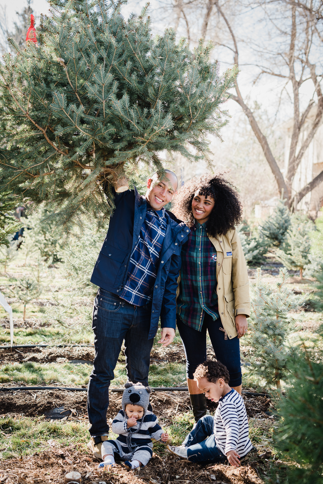 Holiday Fun | Family Photo | Creekside Tree Nursery | From the Hip Photo