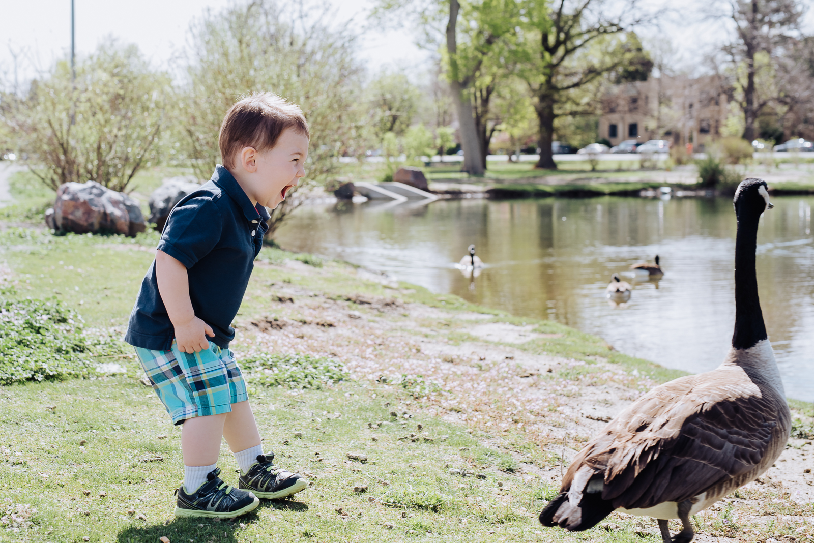 A Walk in the Park | Bronwen & Rick City Park Family Photos