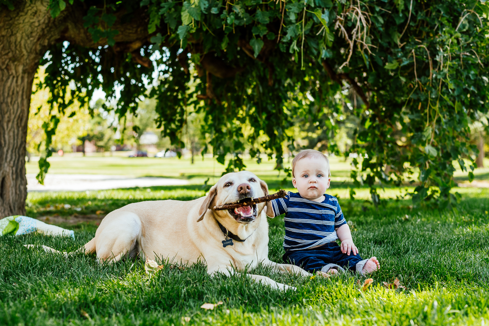 City Park Adventures with Logan | Sara & Jenna Newborn Photos 