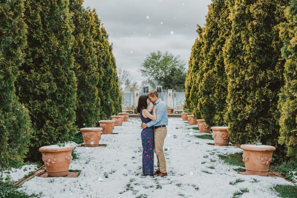 Denver Botanic Gardens Outdoor nature snowy romantic engagement picture | From the Hip Photo Portrait Photography