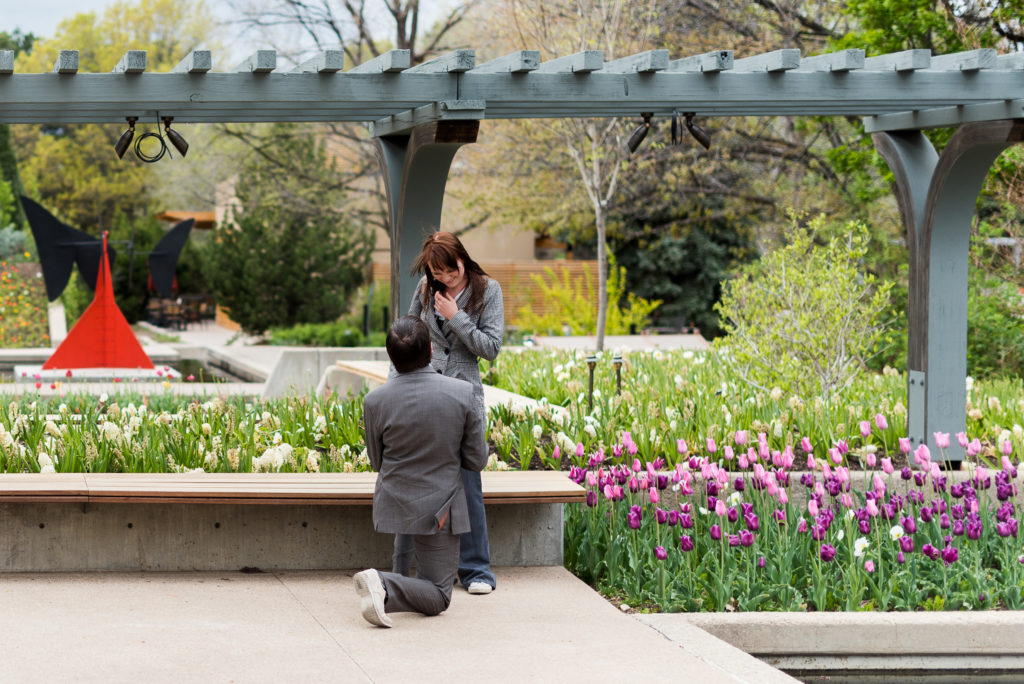 Tips to Plan the Perfect Surprise Wedding Proposal Photos Outdoor Nature Denver Botanic Gardens picture | From the Hip Photo Denver Colorado portrait photography 