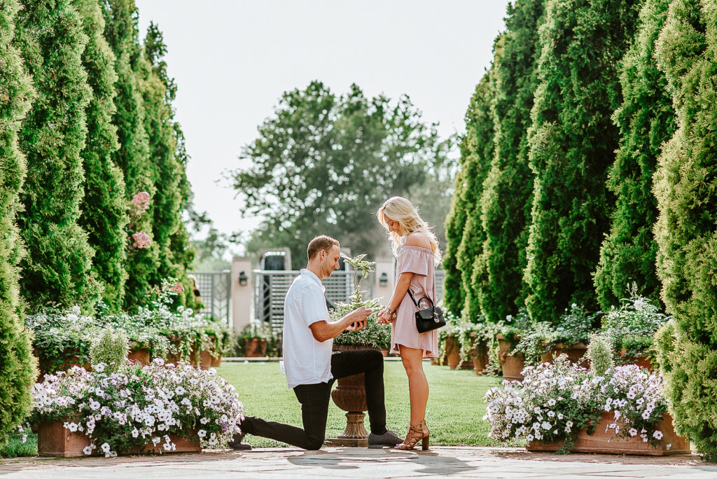 Tips to Plan the Perfect Surprise Wedding Proposal Photos Outdoor Nature Denver Botanic Gardens picture | From the Hip Photo Denver Colorado portrait photography 