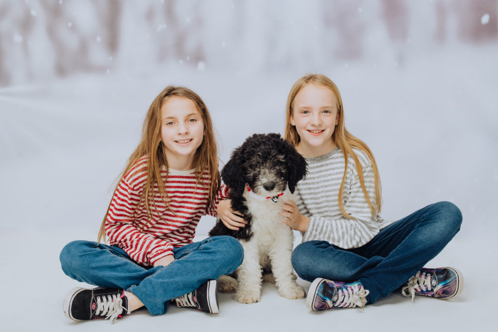 Denver family photos for holiday Christmas kids dog