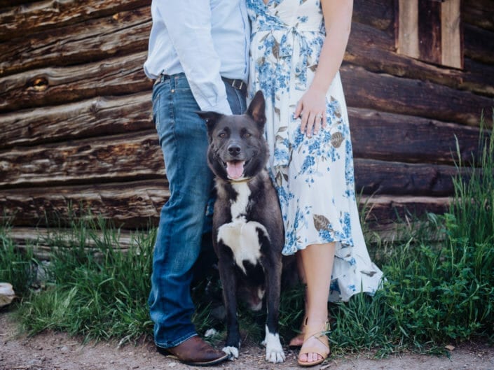 Dog Engagement Session Picture Ideas | From the Hip Photo