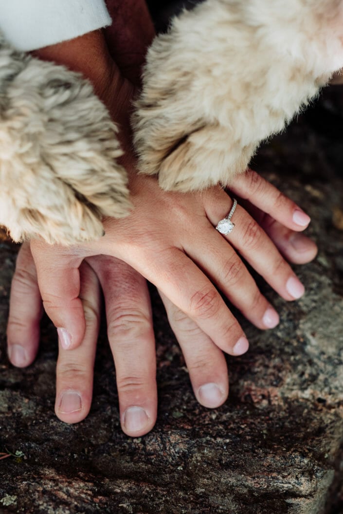 Puppy Love Engagement Session | From the Hip Photo