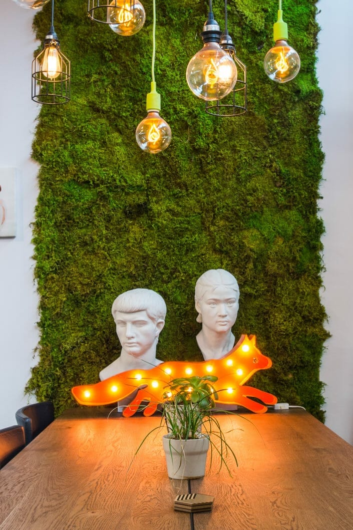 Foxy feels at the From the Hip Photo studio in Denver Colorado