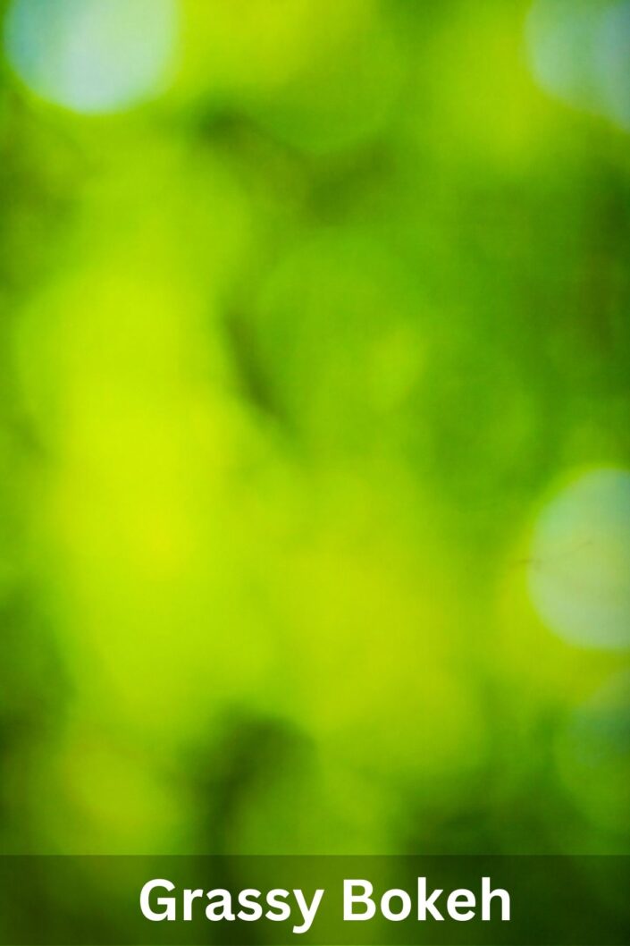 Studio headshot photography background options | Green Grass Trees Greenery Bokeh