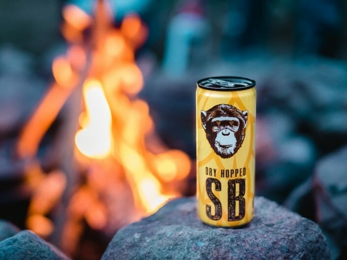 Infinite Monkey Theorem