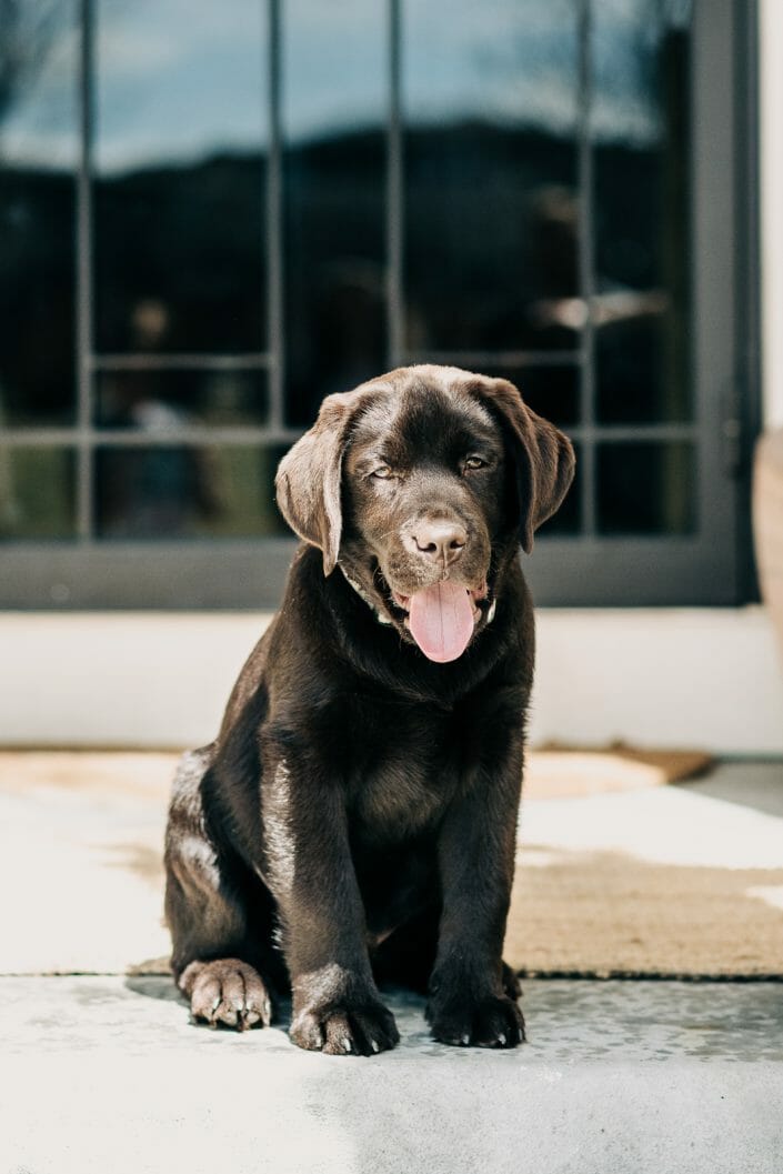 Front Porch Photo | Denver Colorado Family Photographer
