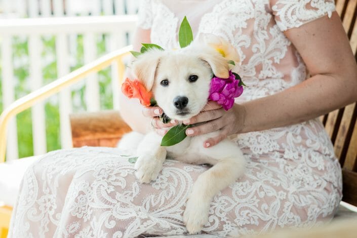 Colorado's Best Social Media Photographers 13