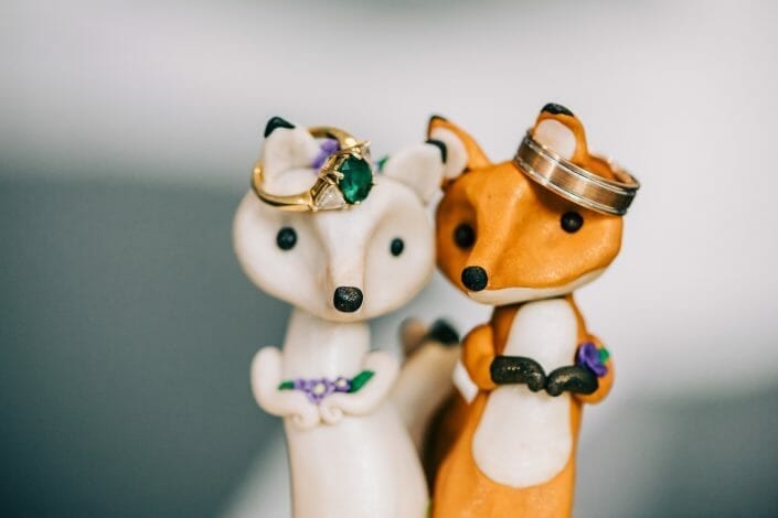 Wedding & Elopement Live Streaming | Denver Colorado Photographer