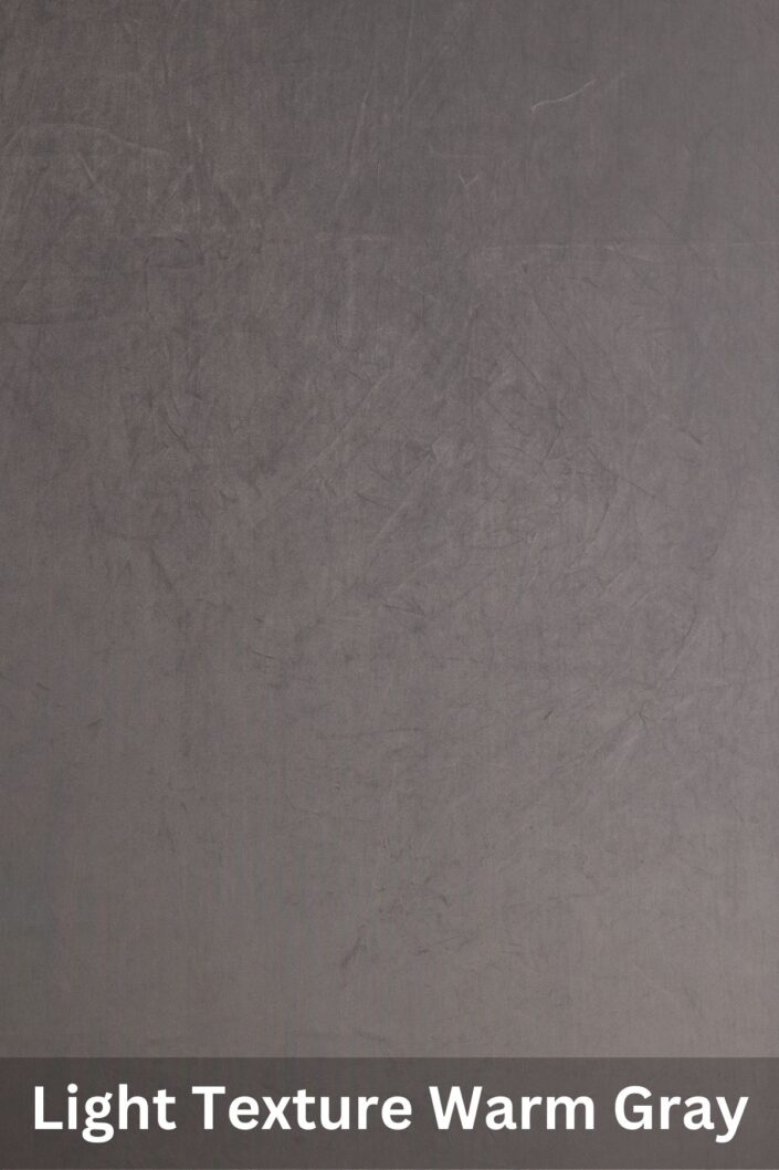 Denver studio backdrop — Light Texture Warm Gray for professional portrait photography