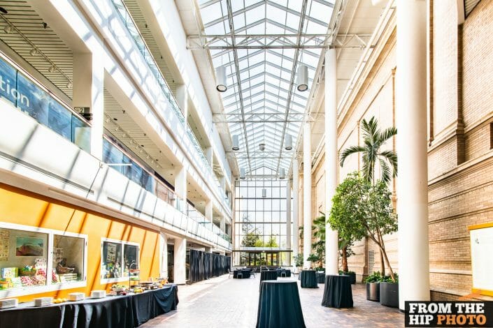 Denver Museum of Nature & Science | Colorado Indoor Event Photography Natural Lighting