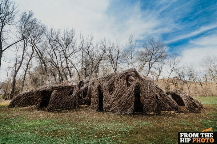 Denver Botanic Gardens Chatfield Farms | Colorado Rustic Natural Wedding Photography