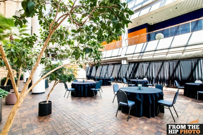 Denver Museum of Nature & Science | Colorado Indoor Event Photography Natural Lighting