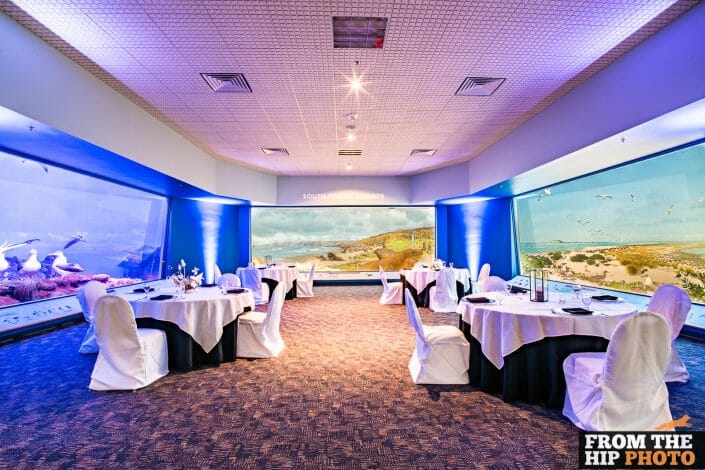 Denver Museum of Nature & Science | Wedding Reception Photography Indoors