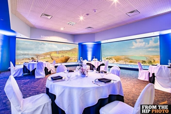 Denver Museum of Nature & Science | Wedding Reception Photography Indoors