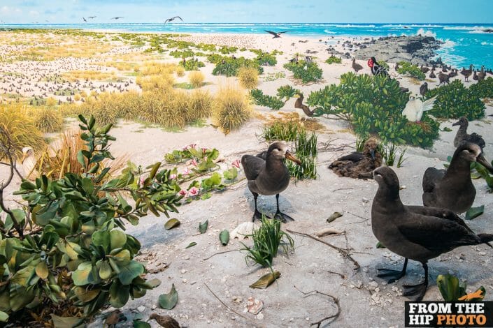 Denver Museum of Nature & Science | Indoor non denominational wedding photography