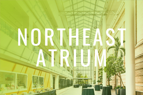 Denver Museum of Nature & Science Virtual Walkthrough Tour | North Atrium