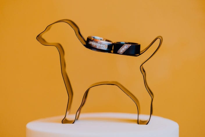 Mountain Summer Wedding Rings | Colorado Elopement Photographer