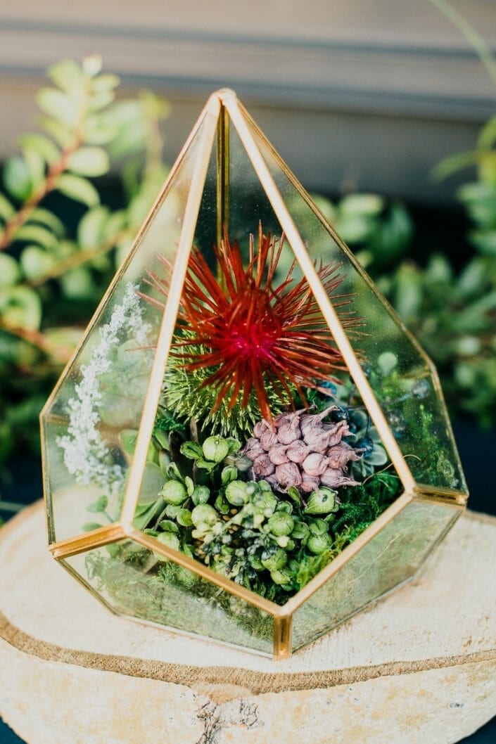 Romantic Mountain Wedding Decor and Food | Denver Colorado Elopement Photographer