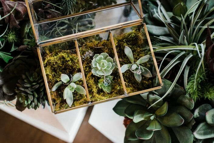 Urban Wedding Rings and Details Photo | Fort Collins Colorado Elopement Photographer