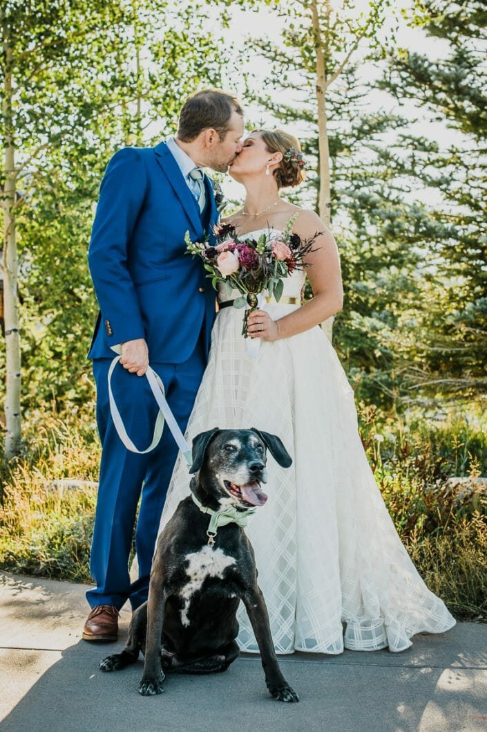 Romantic Mountain Wedding Dog Photo | Denver Colorado Elopement Photographer