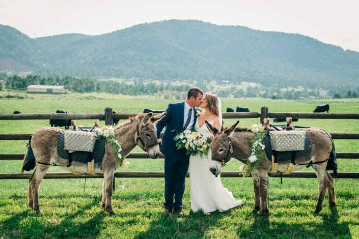 Wedding Beverage Burro at Spruce Mountain Ranch | Larkspur Colorado Elopement Photographer