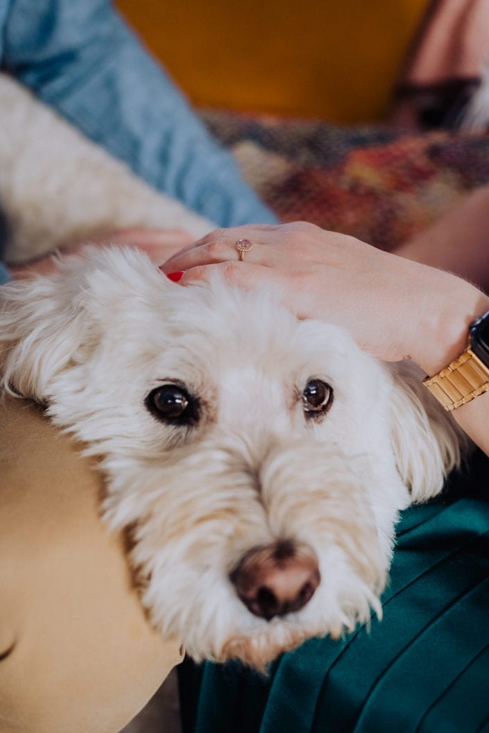 Urban Denver Home Family Portrait | Colorado Engagement Photographer
