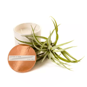 E-Commerce Product Photography | White Background Cut Out Online Shop image