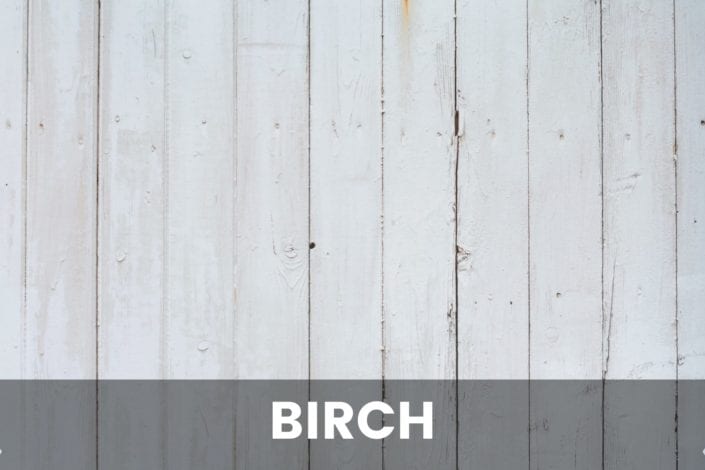 Studio product photography background options | white light birch rustic wood