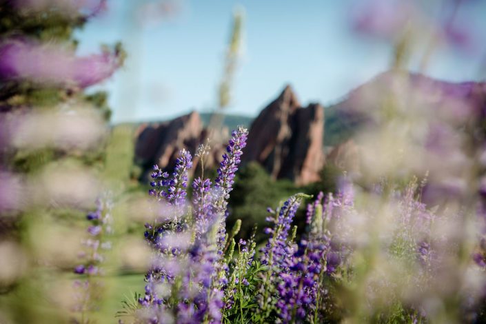 Kat's Portfolio | From the Hip Photo | Denver Colorado wedding photography | Family photos | Corporate event photography