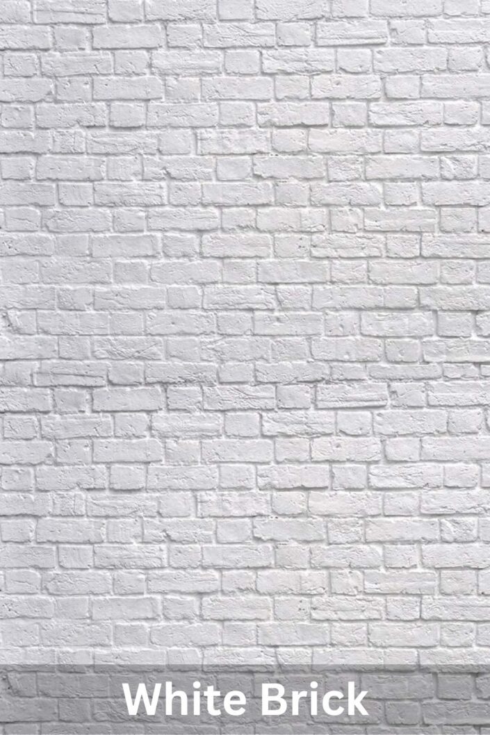 Studio headshot photography background options | White Brick Wall Backdrop