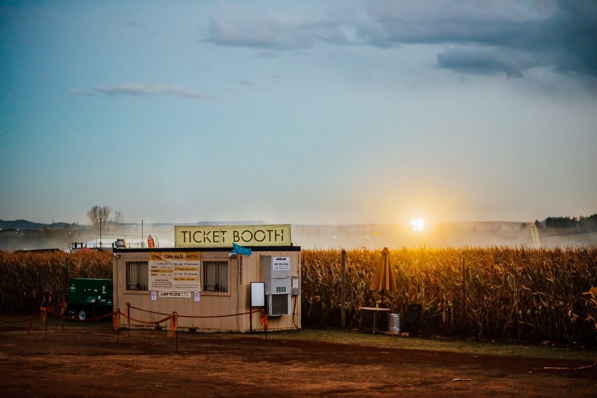 Denver event photographer capturing candid networking conversations