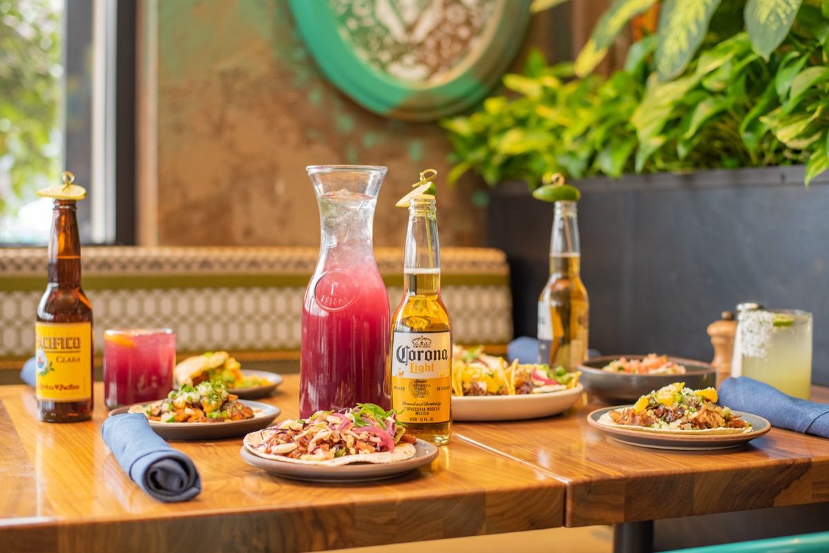 Denver food photographer shoots vibrant seasonal salad at Colorado eatery