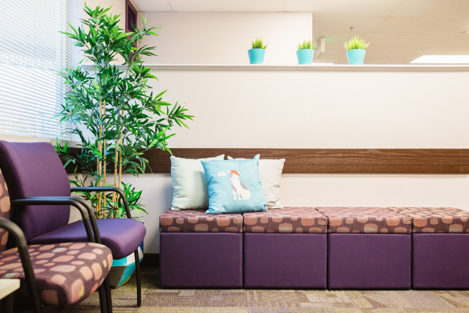 Colorful pediatric waiting room photography Denver