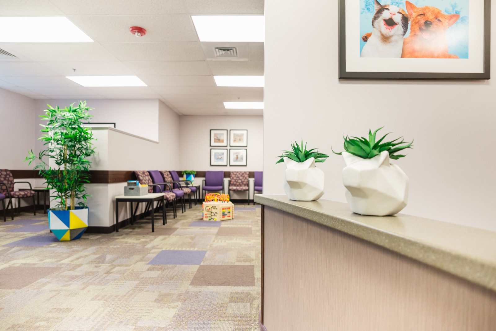 Pediatric nurse with medical equipment professional photo