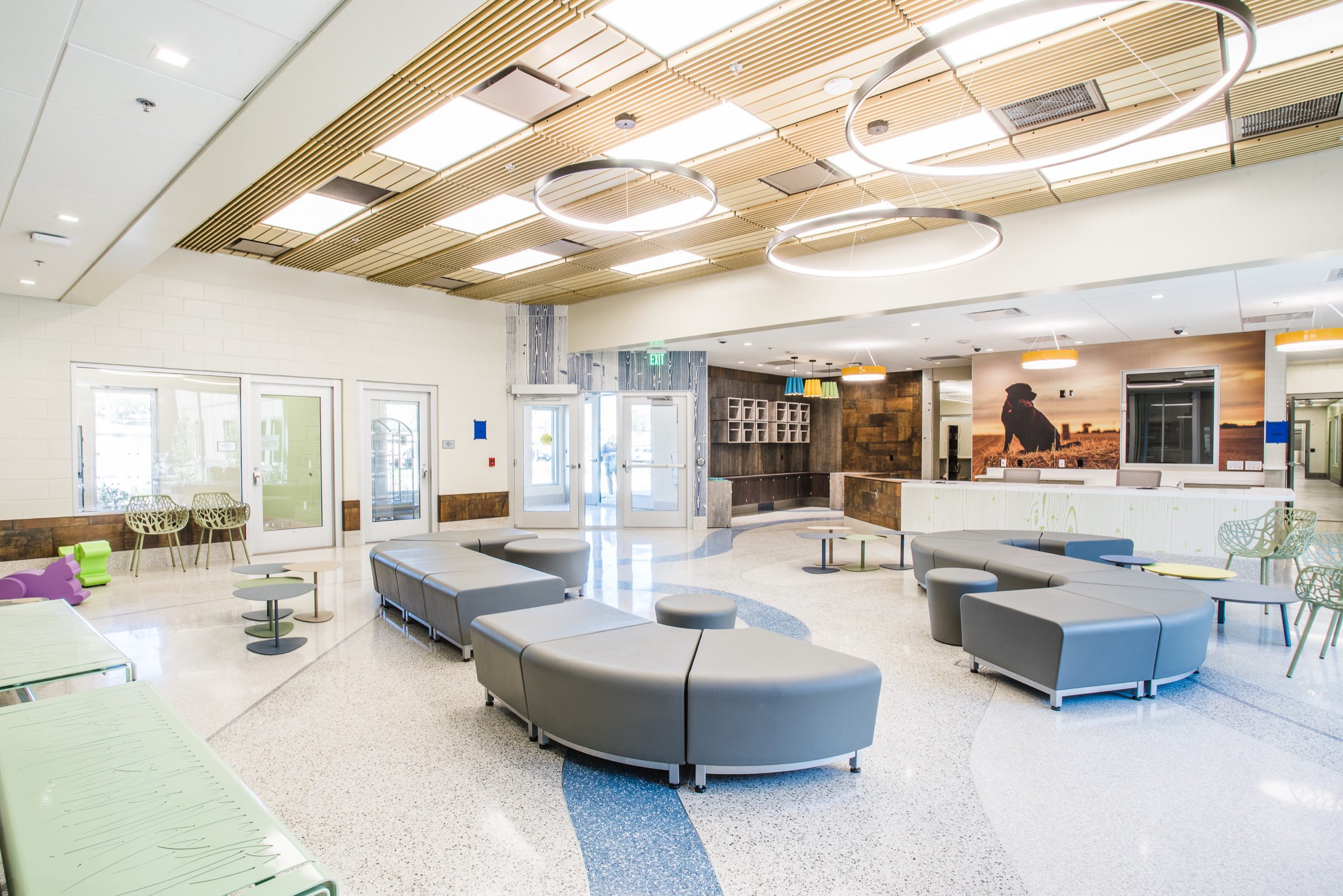 Bright animal-care lobby interior -- terrazzo flooring, modern lighting, calm welcome