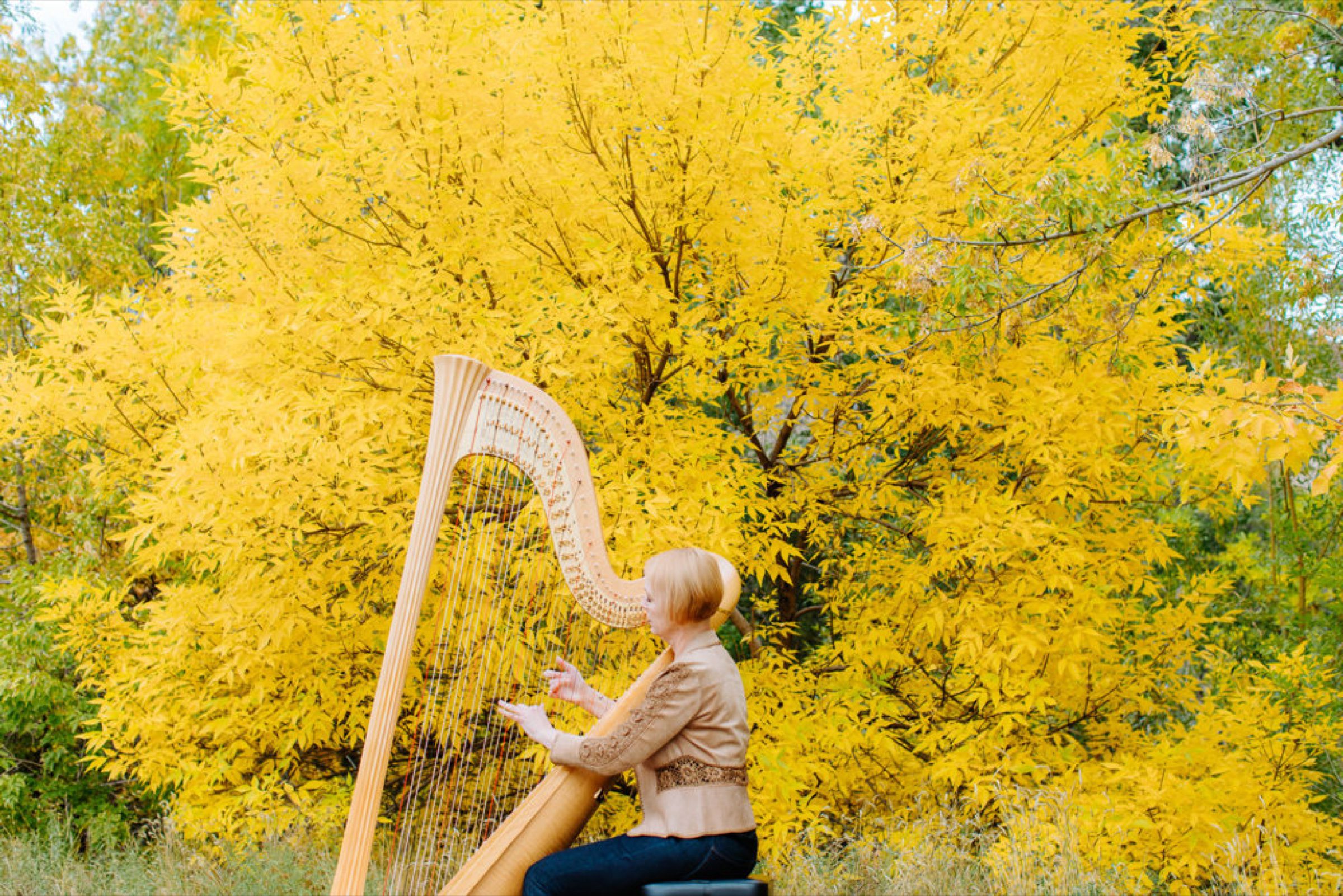 Harpist enveloped in golden autumn yellow trees