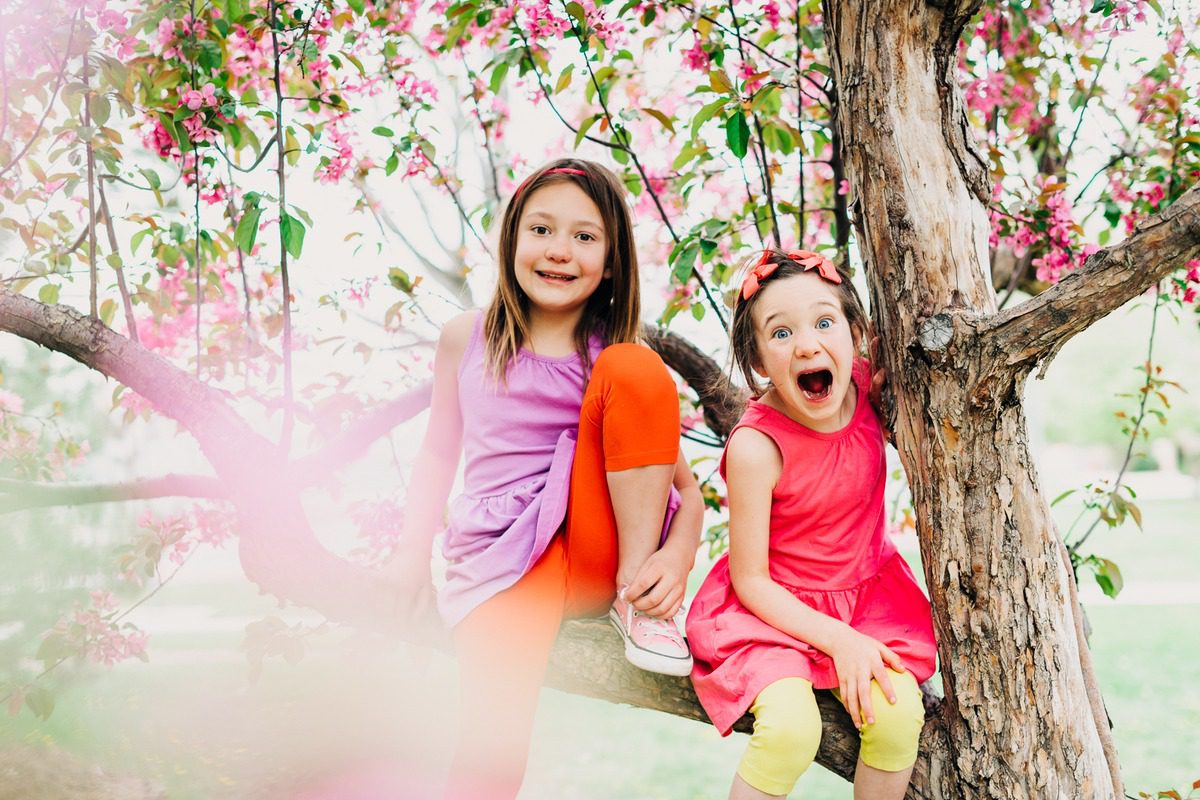Children playing in a blossoming tree during a City Park family session in Denver