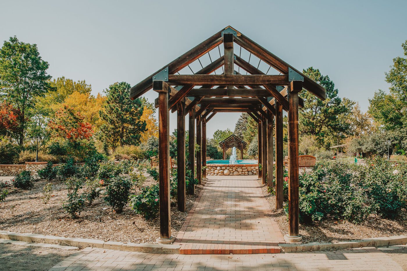 The timber pergola walkway at Hudson Gardens, looking through to the fountain